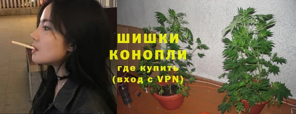 шишки Иннополис