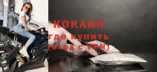 apvp Инта