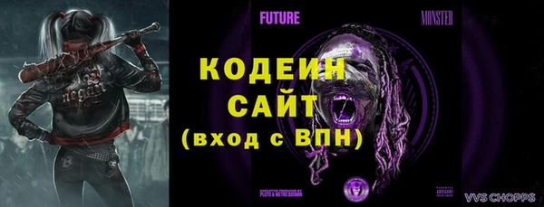 шишки Иннополис