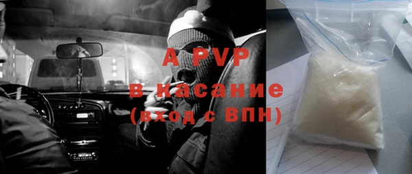 apvp Инта