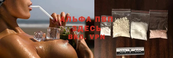 apvp Инта