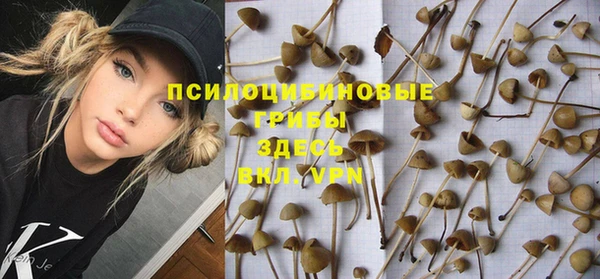 шишки Иннополис
