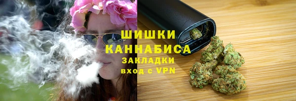 apvp Инта